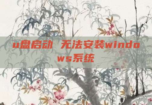 u盘启动 无法安装windows系统