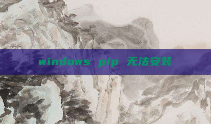 windows pip 无法安装