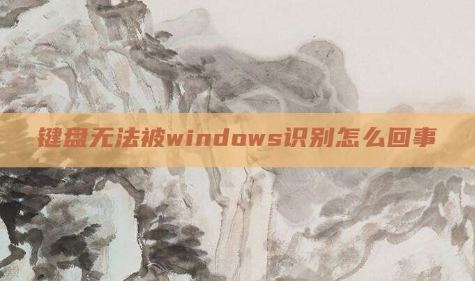 键盘无法被windows识别怎么回事