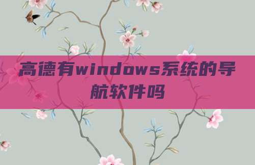 高德有windows系统的导航软件吗