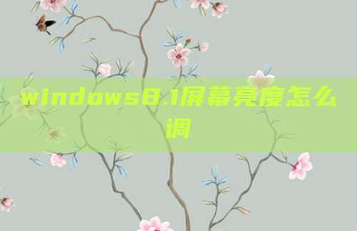 windows8.1屏幕亮度怎么调