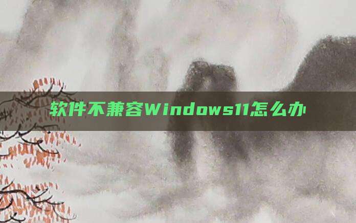 软件不兼容Windows11怎么办