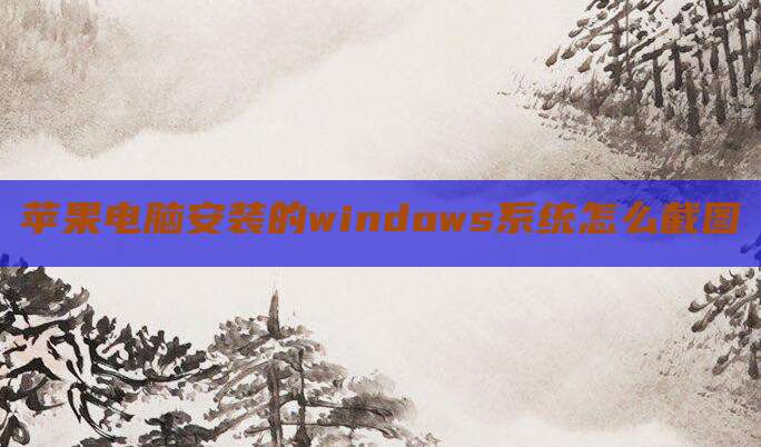 苹果电脑安装的windows系统怎么截图