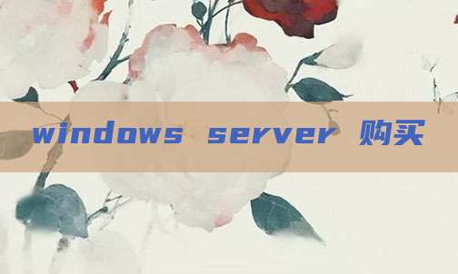windows server 购买