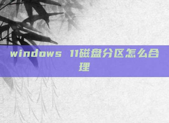 windows 11磁盘分区怎么合理