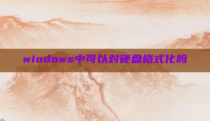 windows中可以对硬盘格式化吗