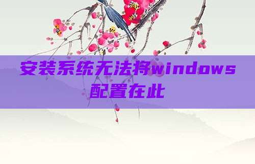 安装系统无法将windows配置在此