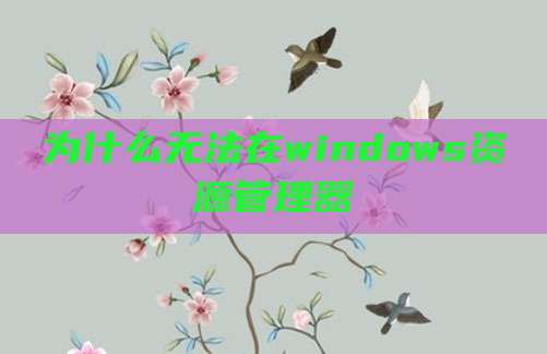 为什么无法在windows资源管理器