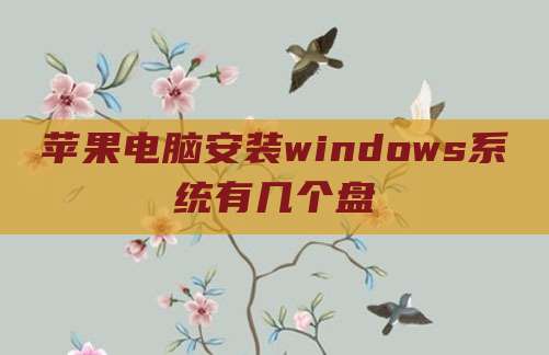 苹果电脑安装windows系统有几个盘