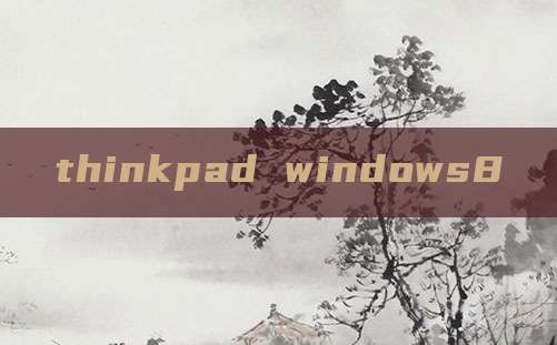 thinkpad windows8