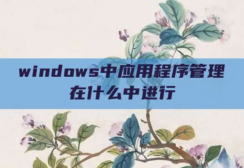 windows中应用程序管理在什么中进行