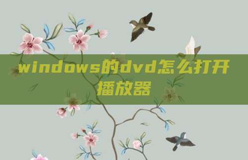 windows的dvd怎么打开播放器
