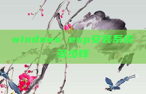 windows esp安装系统多少钱