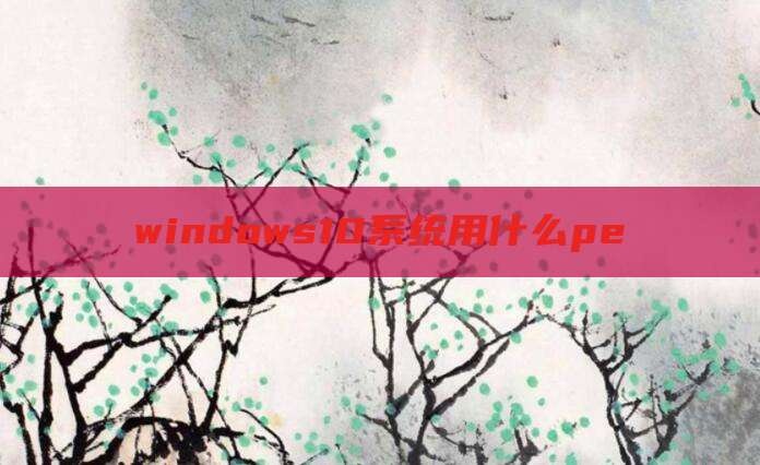 windows10系统用什么pe