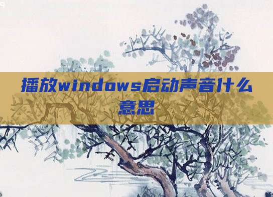播放windows启动声音什么意思
