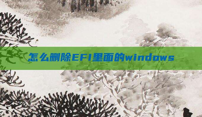 怎么删除EFI里面的windows
