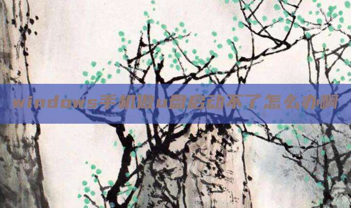 windows手机做u盘启动不了怎么办啊