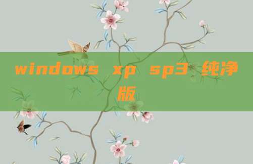 windows xp sp3 纯净版