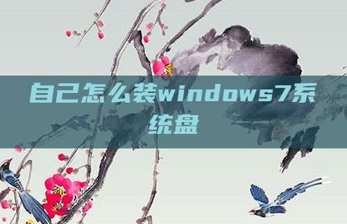自己怎么装windows7系统盘