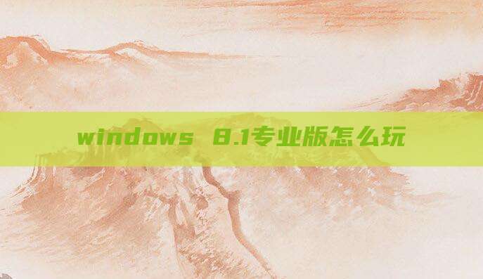 windows 8.1专业版怎么玩