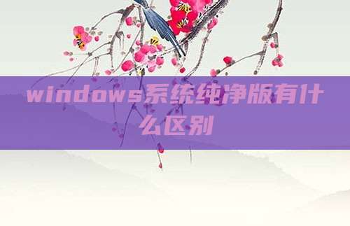 windows系统纯净版有什么区别