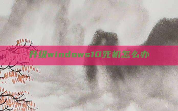升级windows10死机怎么办