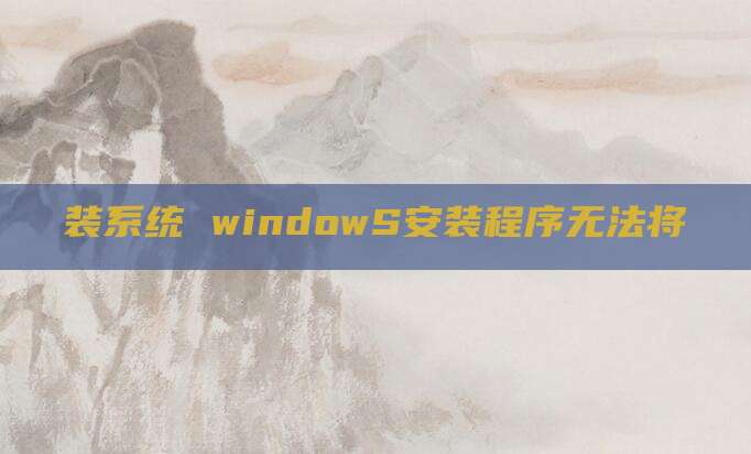 装系统 windowS安装程序无法将