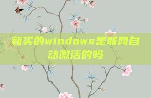 新买的windows是联网自动激活的吗