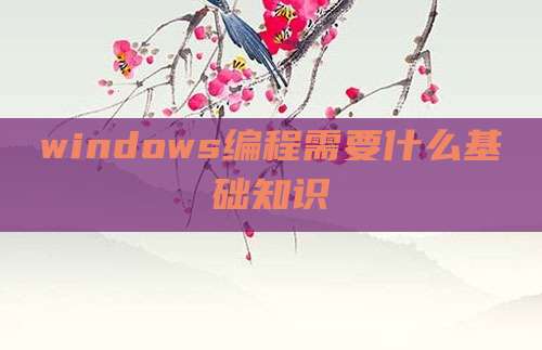 windows编程需要什么基础知识