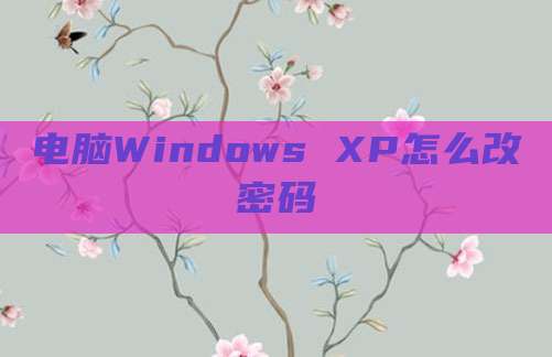 电脑Windows XP怎么改密码