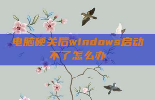 电脑硬关后windows启动不了怎么办