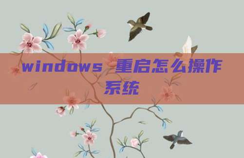 windows 重启怎么操作系统