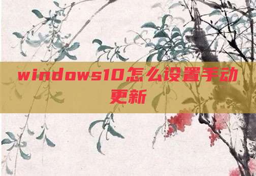windows10怎么设置手动更新