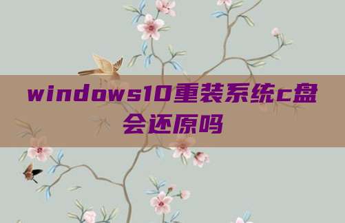 windows10重装系统c盘会还原吗