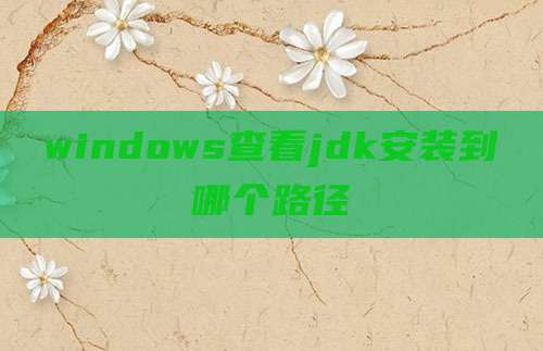 windows查看jdk安装到哪个路径