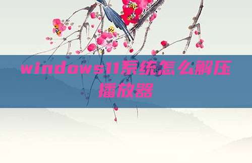 windows11系统怎么解压播放器