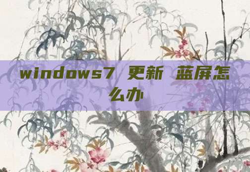 windows7 更新 蓝屏怎么办
