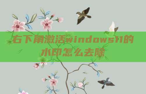 右下角激活windows11的水印怎么去除