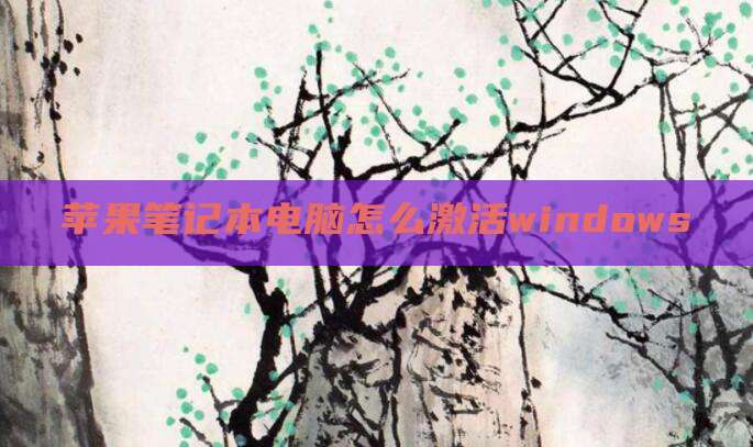 苹果笔记本电脑怎么激活windows