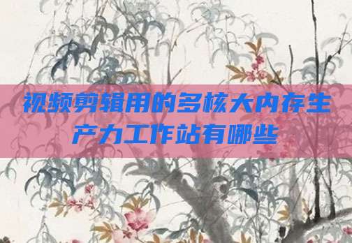 视频剪辑用的多核大内存生产力工作站有哪些