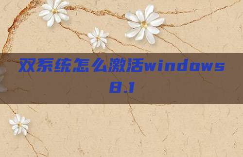 双系统怎么激活windows8.1