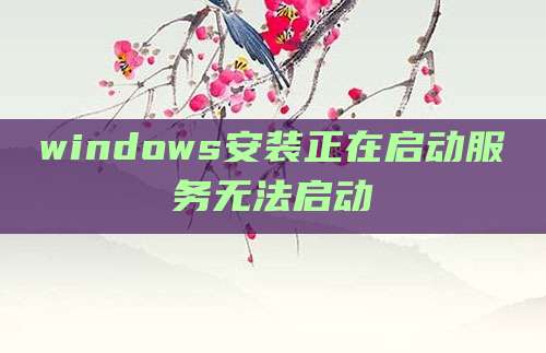 windows安装正在启动服务无法启动