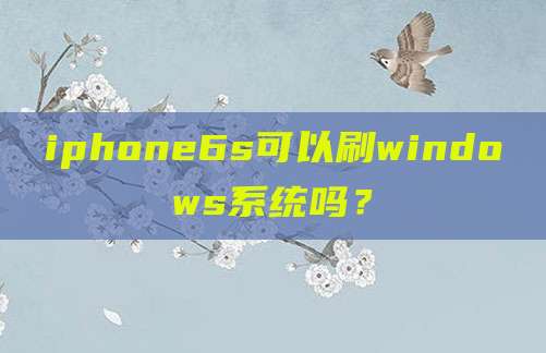 iphone6s可以刷windows系统吗？