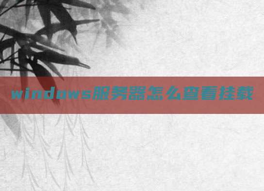 windows服务器怎么查看挂载