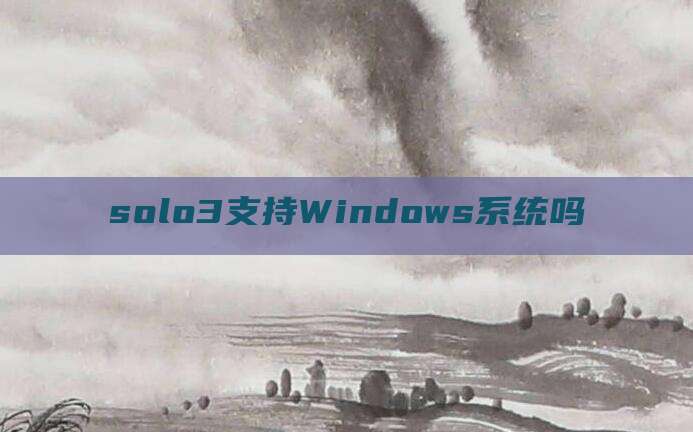 solo3支持Windows系统吗