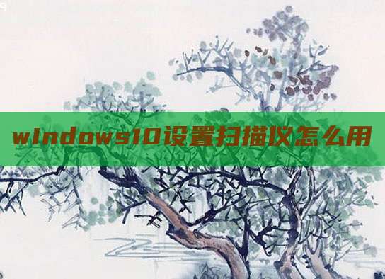 windows10设置扫描仪怎么用
