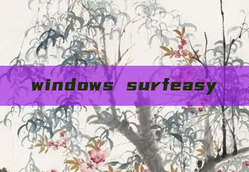 windows surfeasy