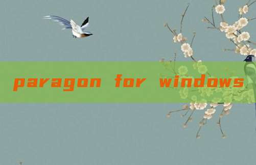 paragon for windows