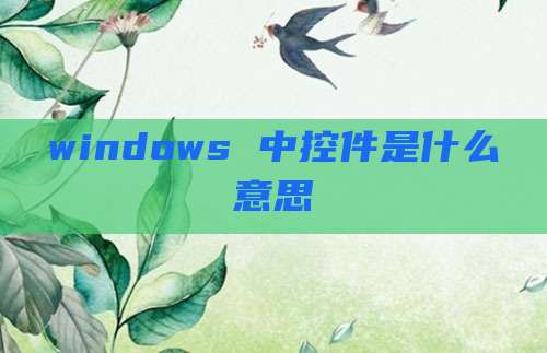 windows 中控件是什么意思