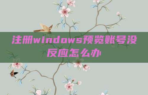 注册windows预览账号没反应怎么办